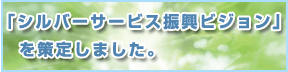 ��V���o�[�T�[�r�X�U���r�W����������肵�܂����B